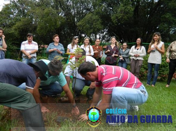 Lançamento de biografia e plantio do FRÁSSINO!