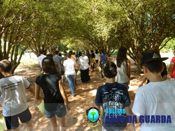 1º Encontro Fraterno dos jovens da PJE