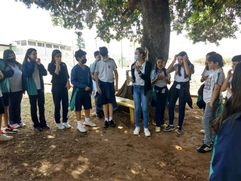 Alunos realizam estudo prático em área verde do Colégio