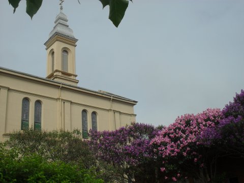 Show de cores e de vida! Isso é verdadeiramente fantástico!