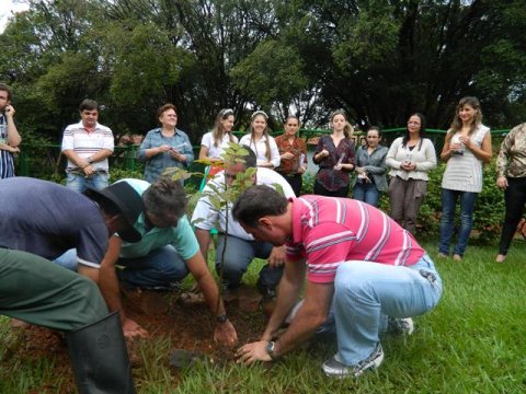 Lançamento de biografia e plantio do FRÁSSINO!