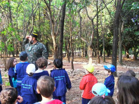 Educação Infantil - É de pequeno que se aprende a ser grande