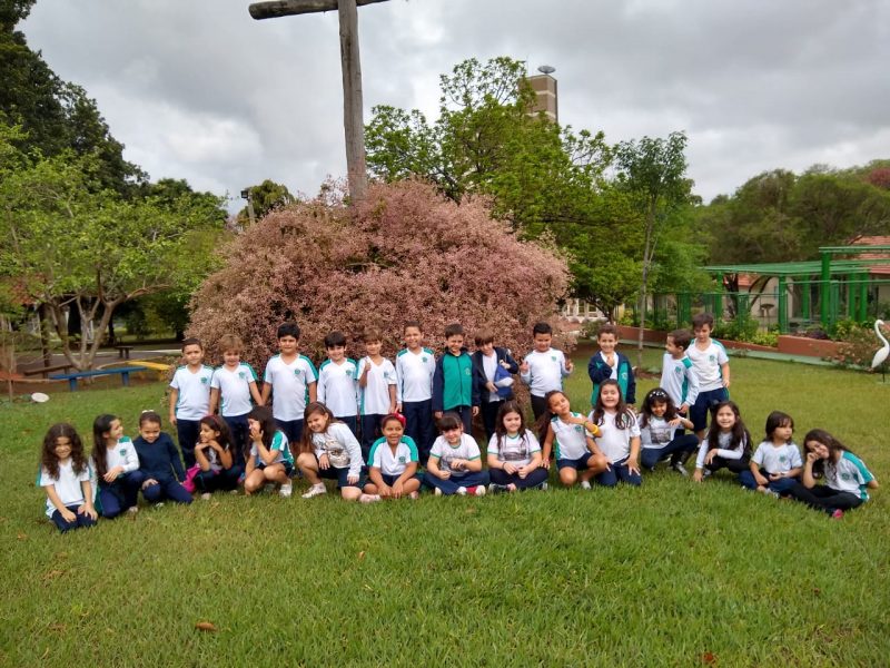 O encanto da primavera na Educação Infantil